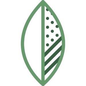 BuchuVida, LLC